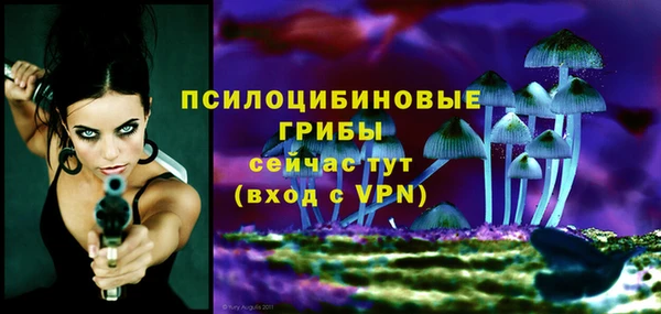 ешки Белокуриха